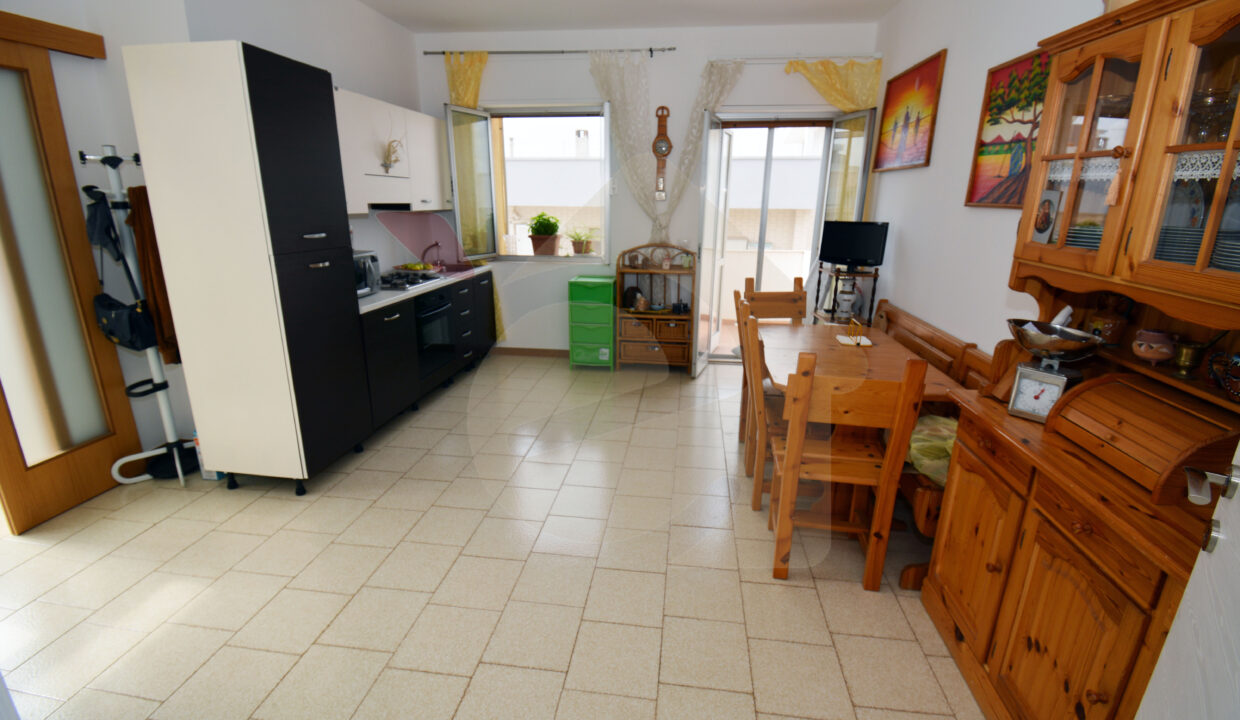 DSC_0005 copia