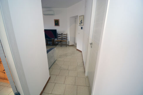 DSC_0011 copia