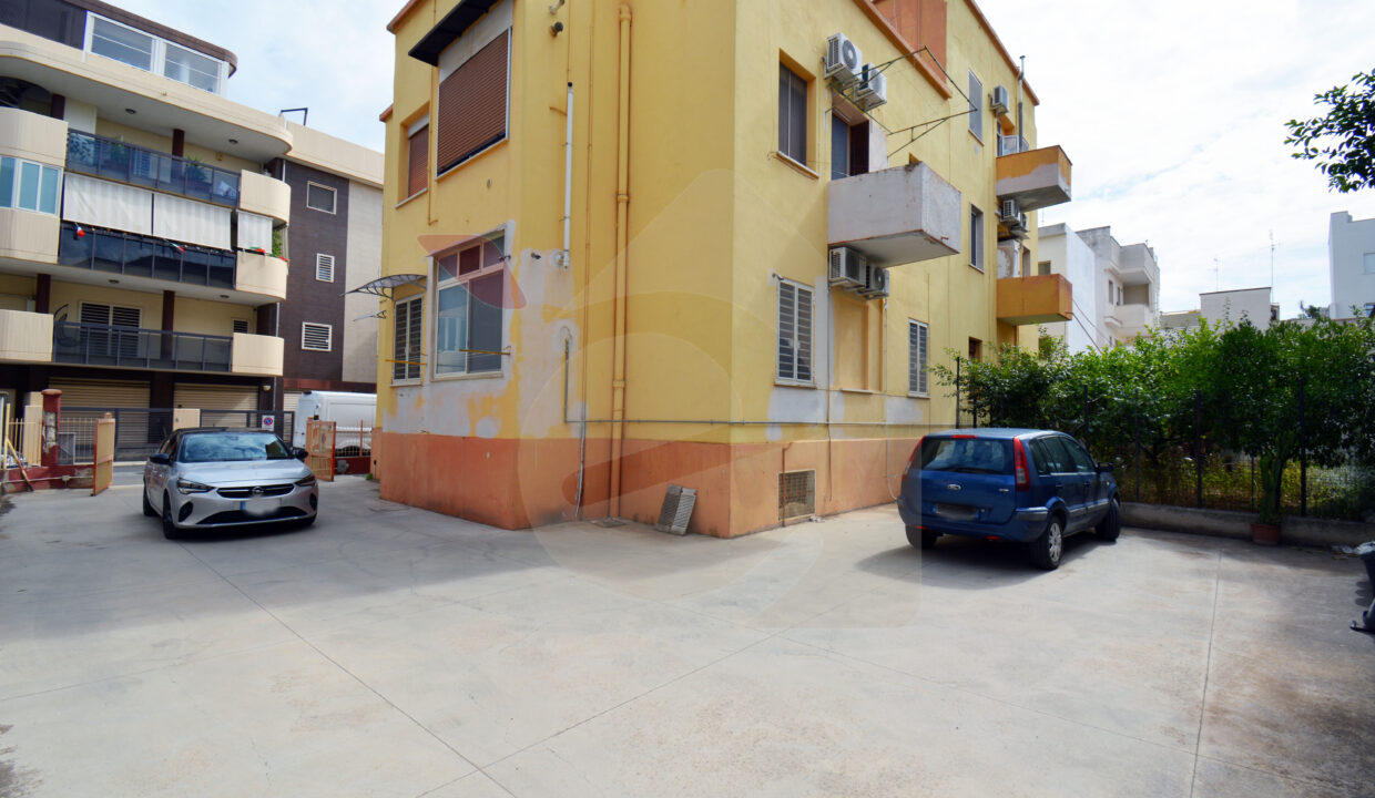 DSC_0030 copia