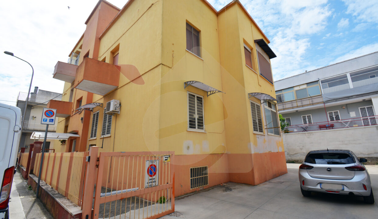 DSC_0033 copia