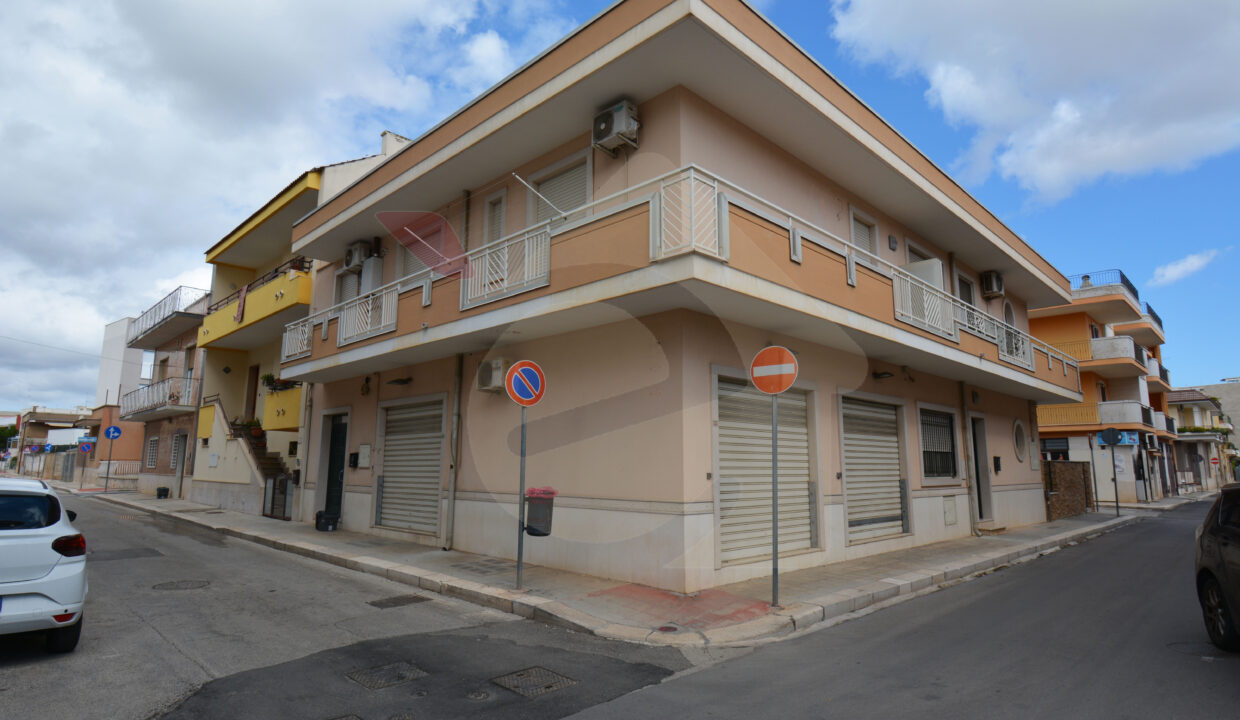 DSC_0049 copia