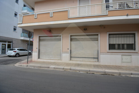 DSC_0052 copia