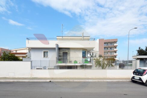 DSC_0002 copia