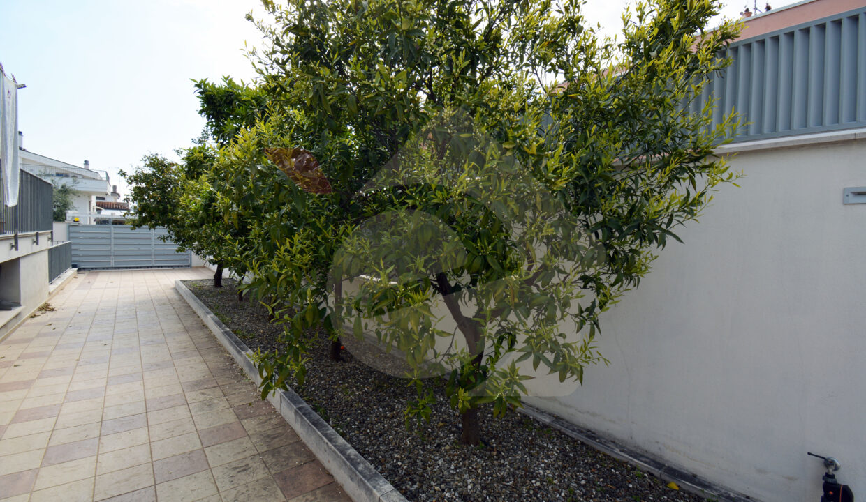 DSC_0010 copia