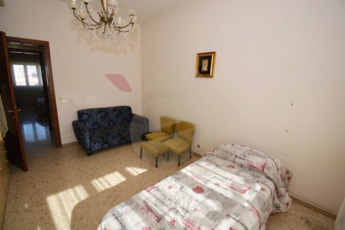 DSC_0011 copia
