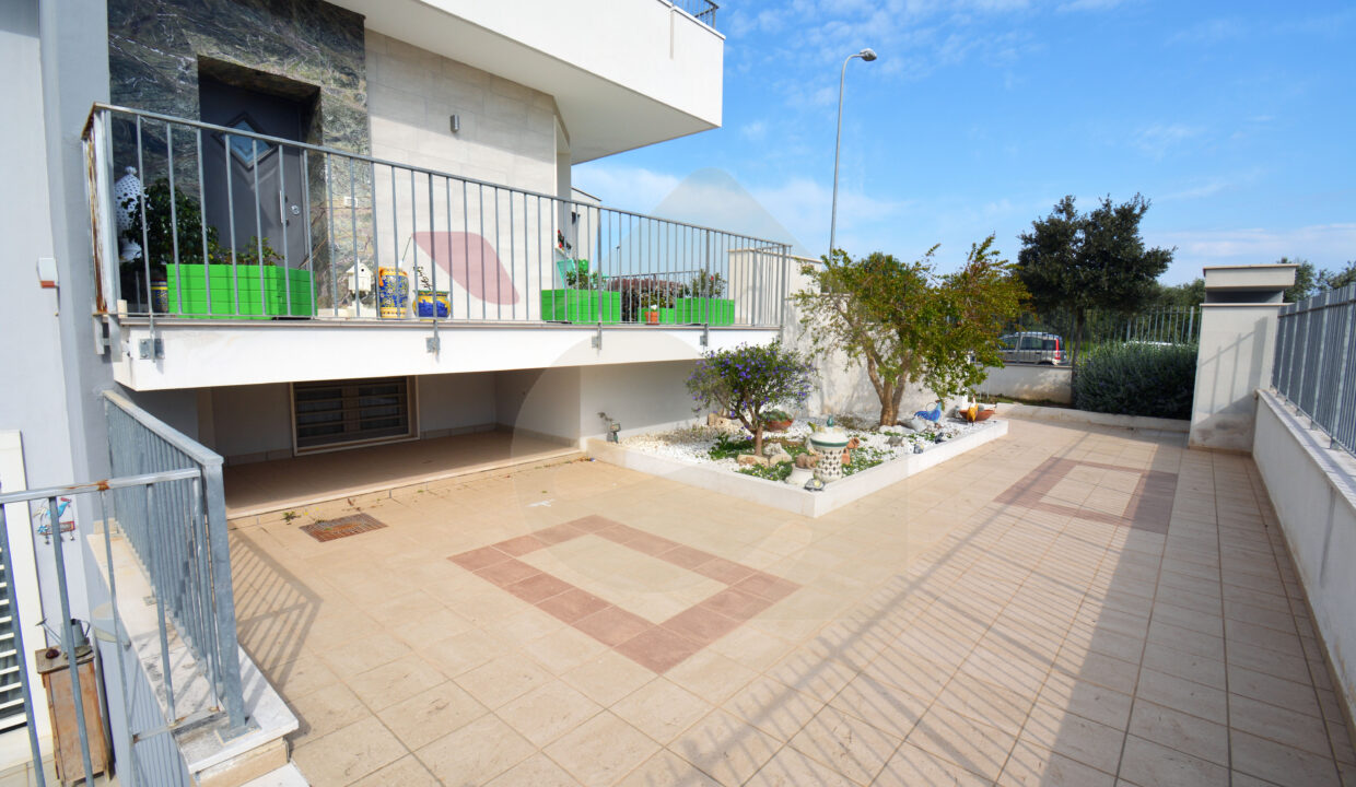 DSC_0011 copia