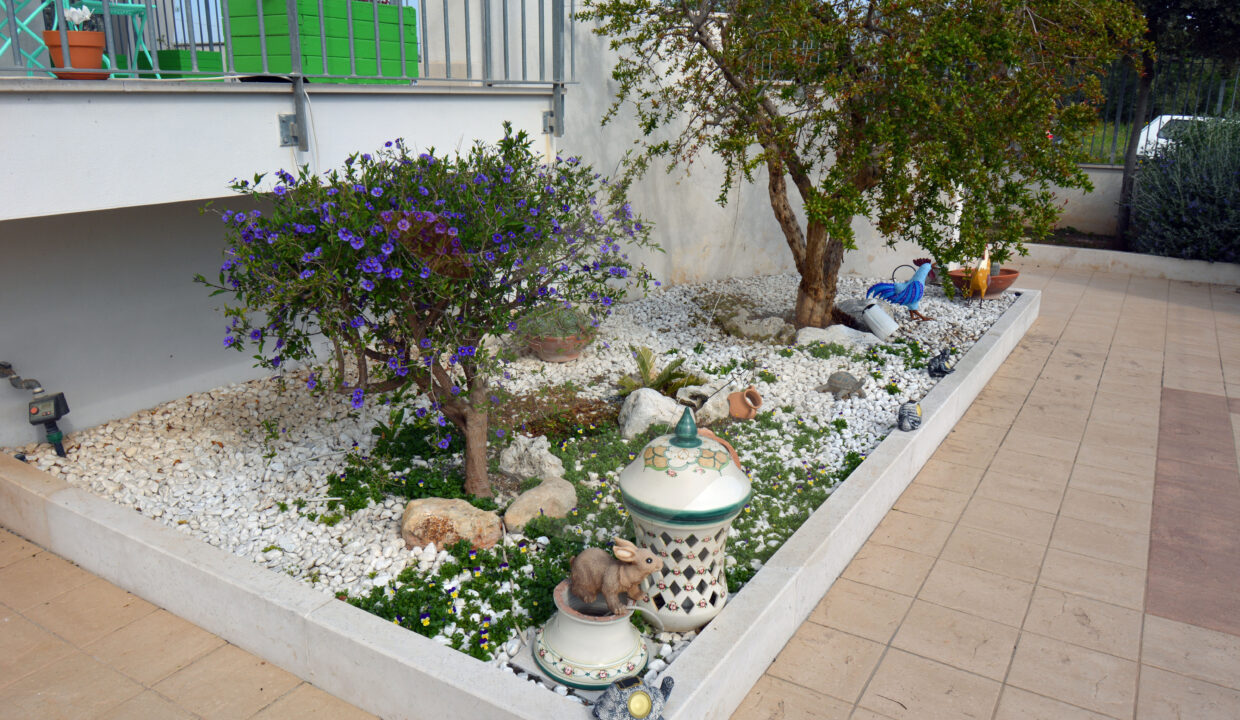 DSC_0012 copia
