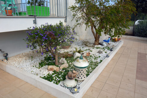 DSC_0012 copia