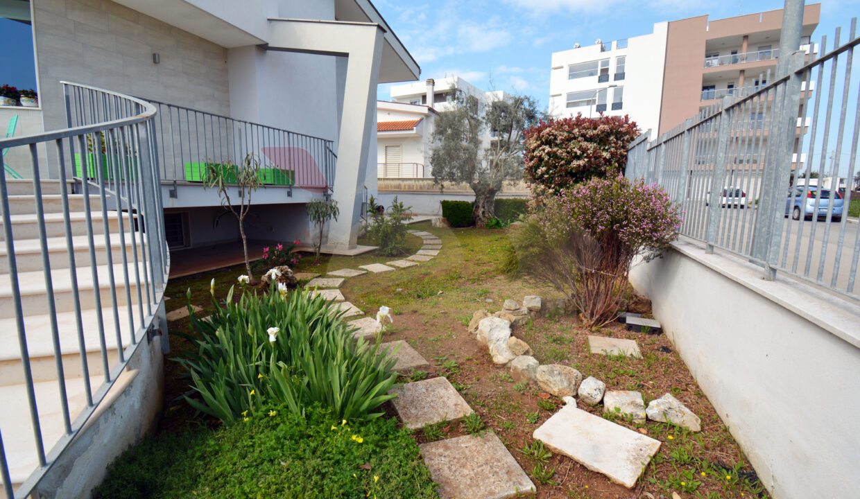 DSC_0015 copia