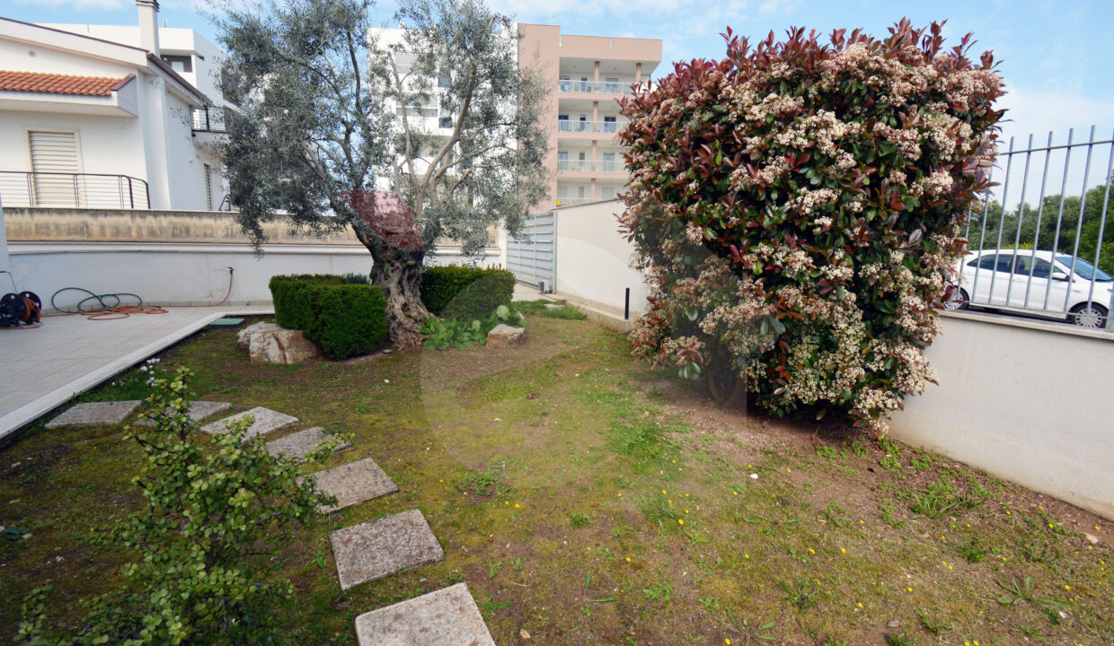 DSC_0016 copia