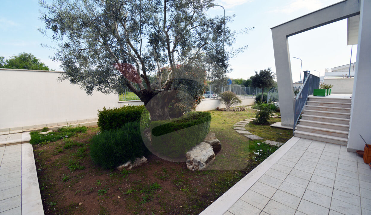 DSC_0017 copia