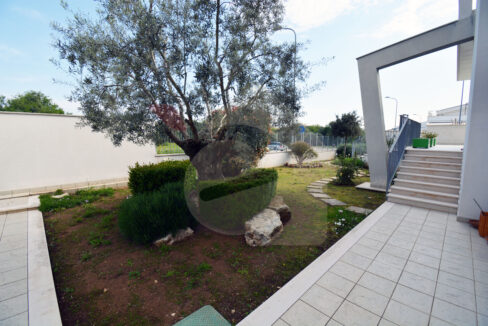 DSC_0017 copia