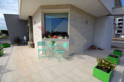 DSC_0022 copia