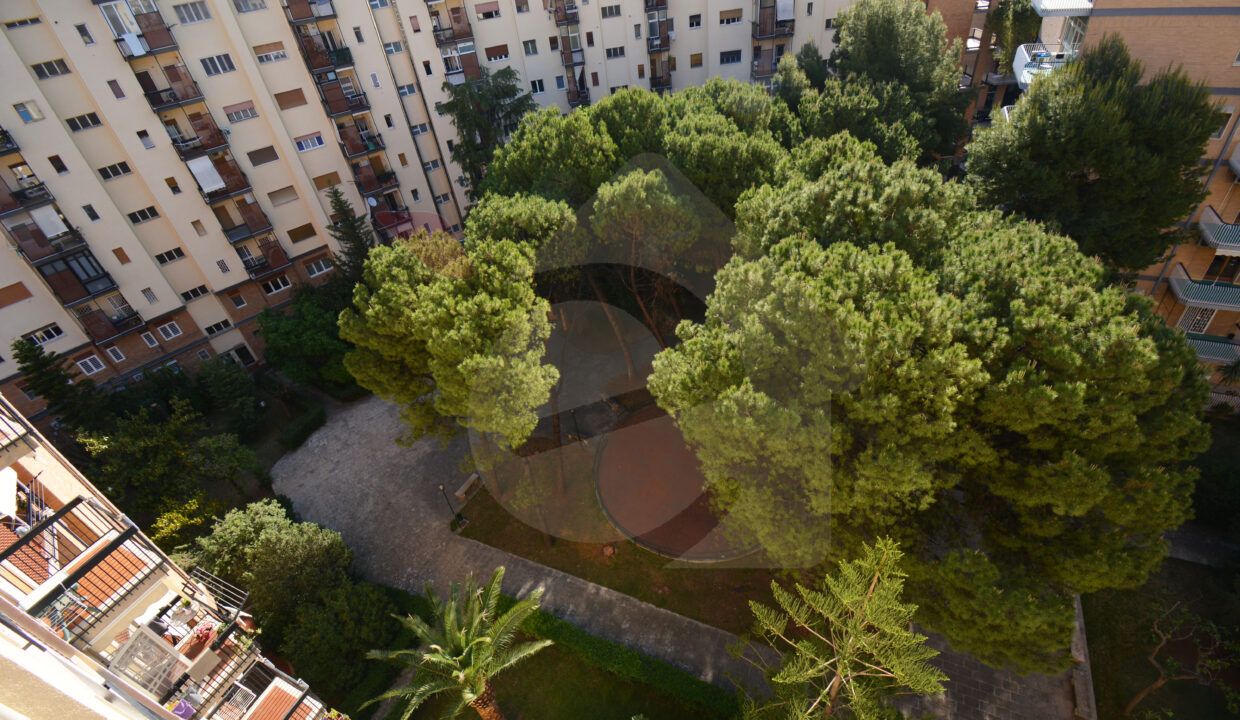 DSC_0023 copia