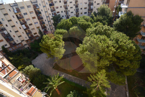 DSC_0023 copia