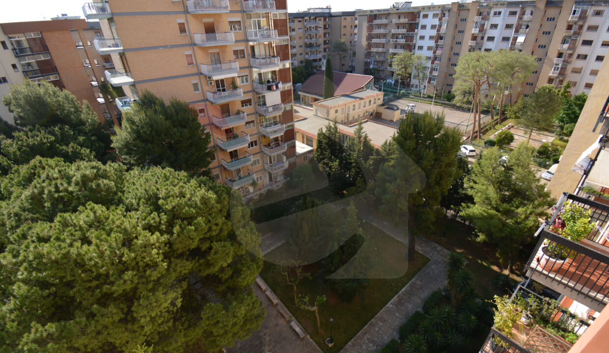 DSC_0024 copia