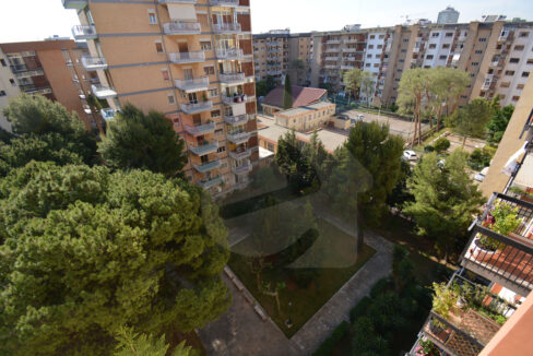 DSC_0024 copia
