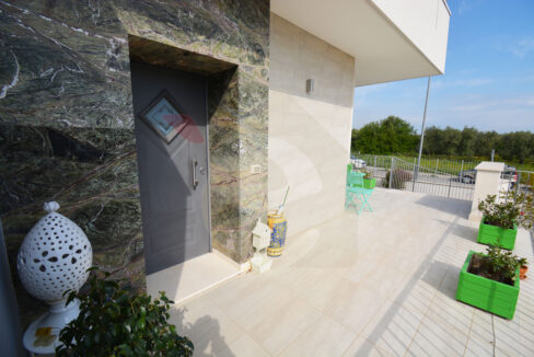 DSC_0024 copia