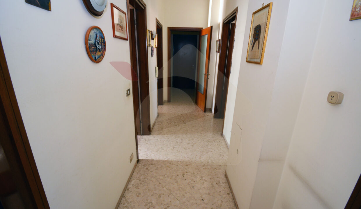 DSC_0028 copia