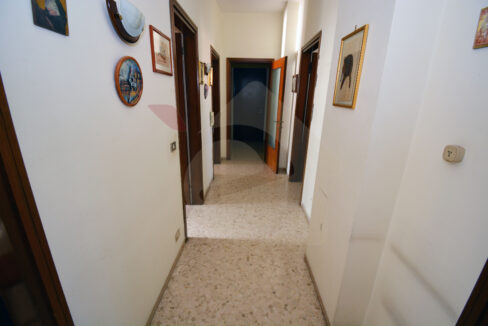 DSC_0028 copia
