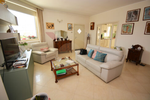 DSC_0031 copia