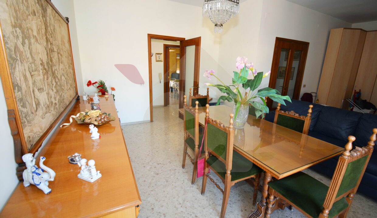 DSC_0032 copia