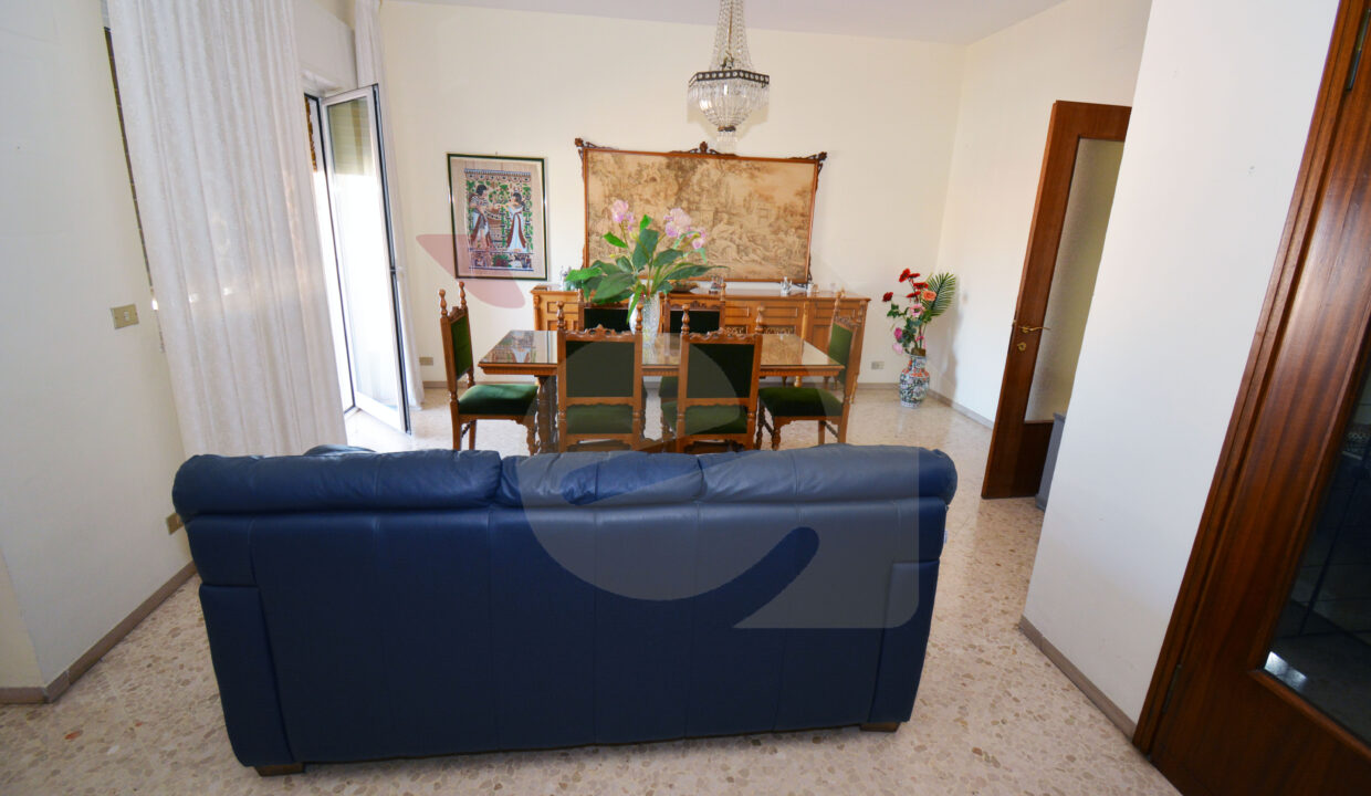 DSC_0033 copia