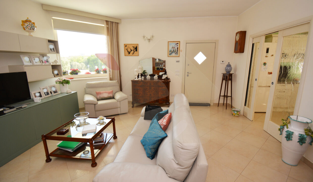 DSC_0034 copia