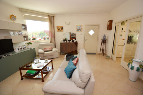 DSC_0034 copia