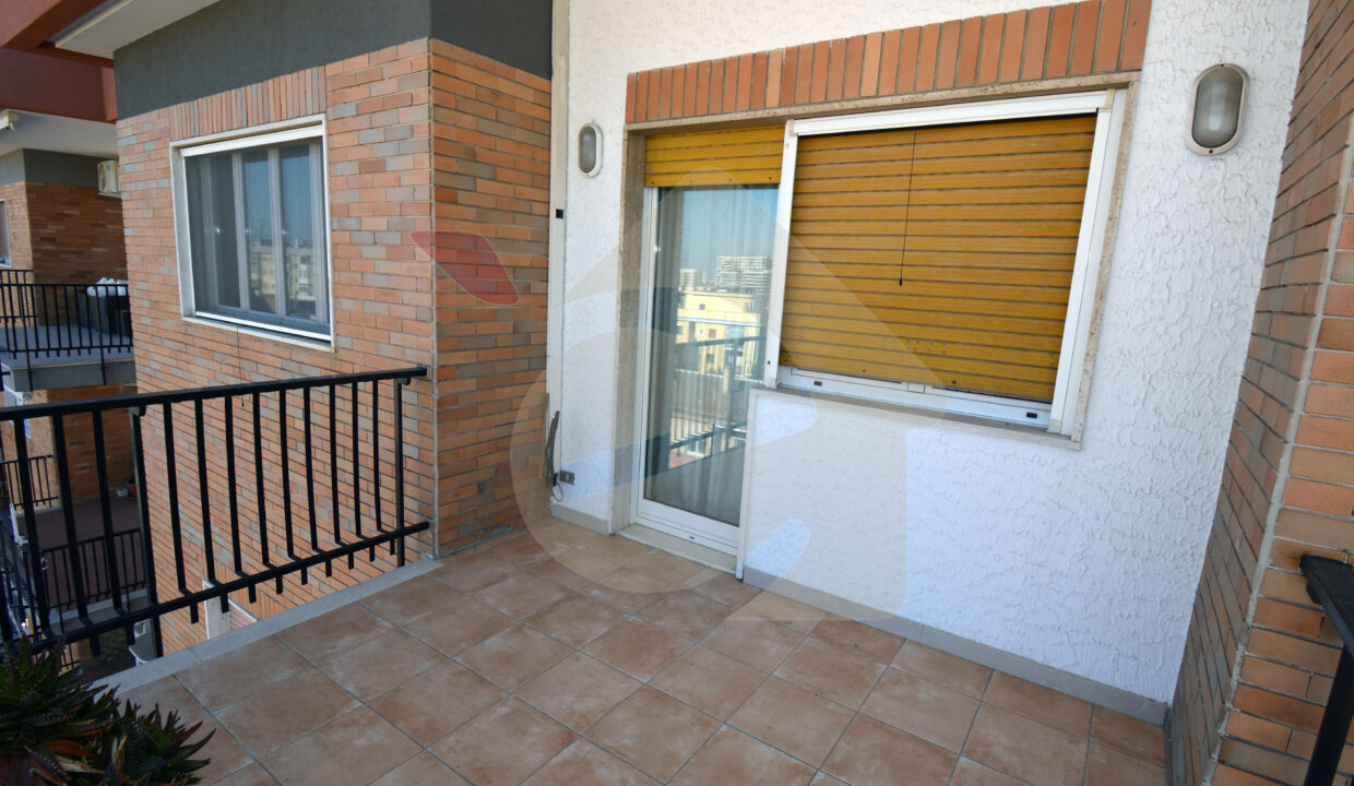 DSC_0039 copia