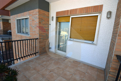 DSC_0039 copia