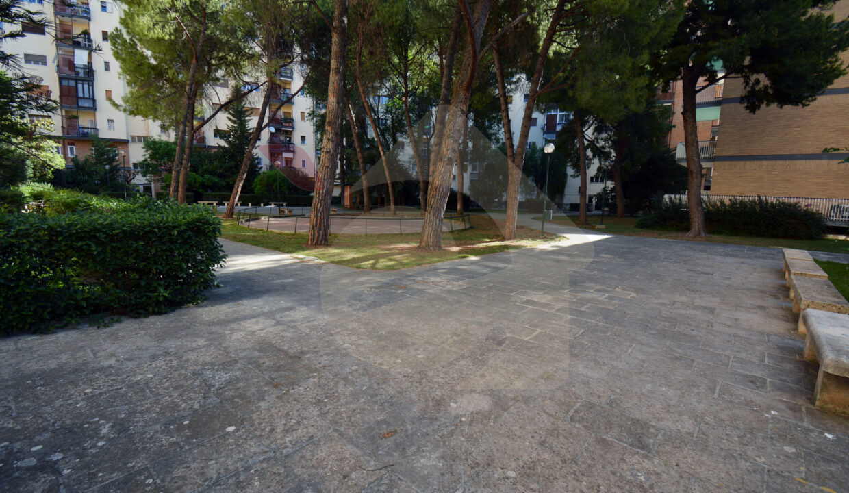 DSC_0051 copia