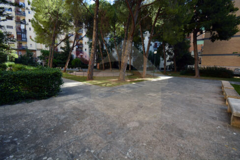 DSC_0051 copia