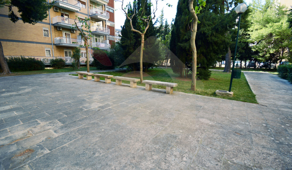 DSC_0052 copia