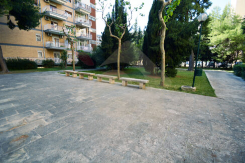 DSC_0052 copia