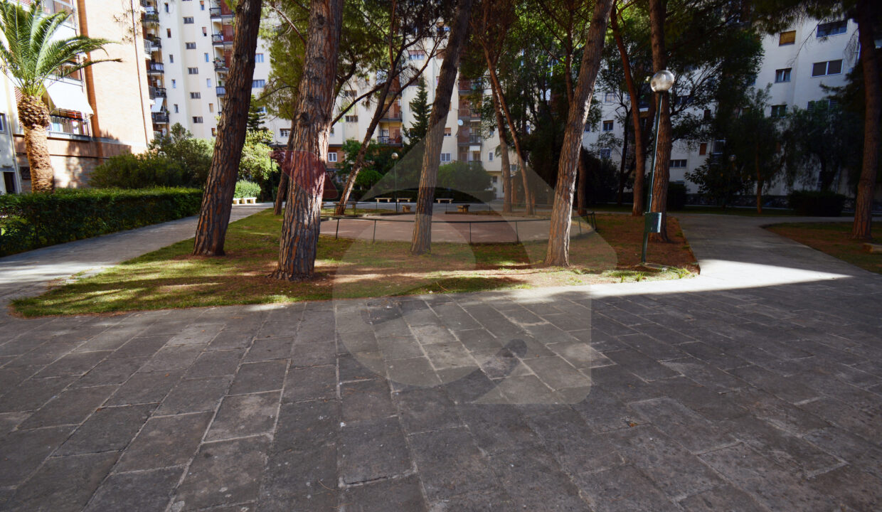 DSC_0055 copia