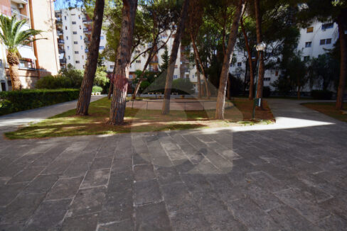 DSC_0055 copia