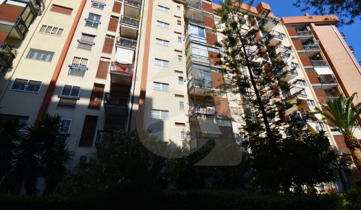 DSC_0056 copia