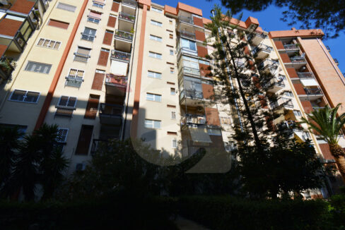 DSC_0056 copia