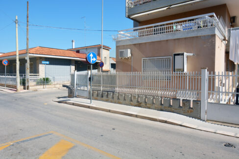 DSC_0039 copia