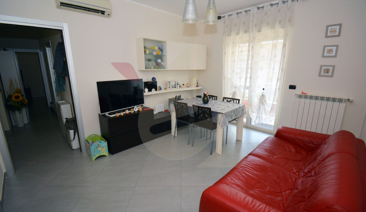 DSC_0001 copia