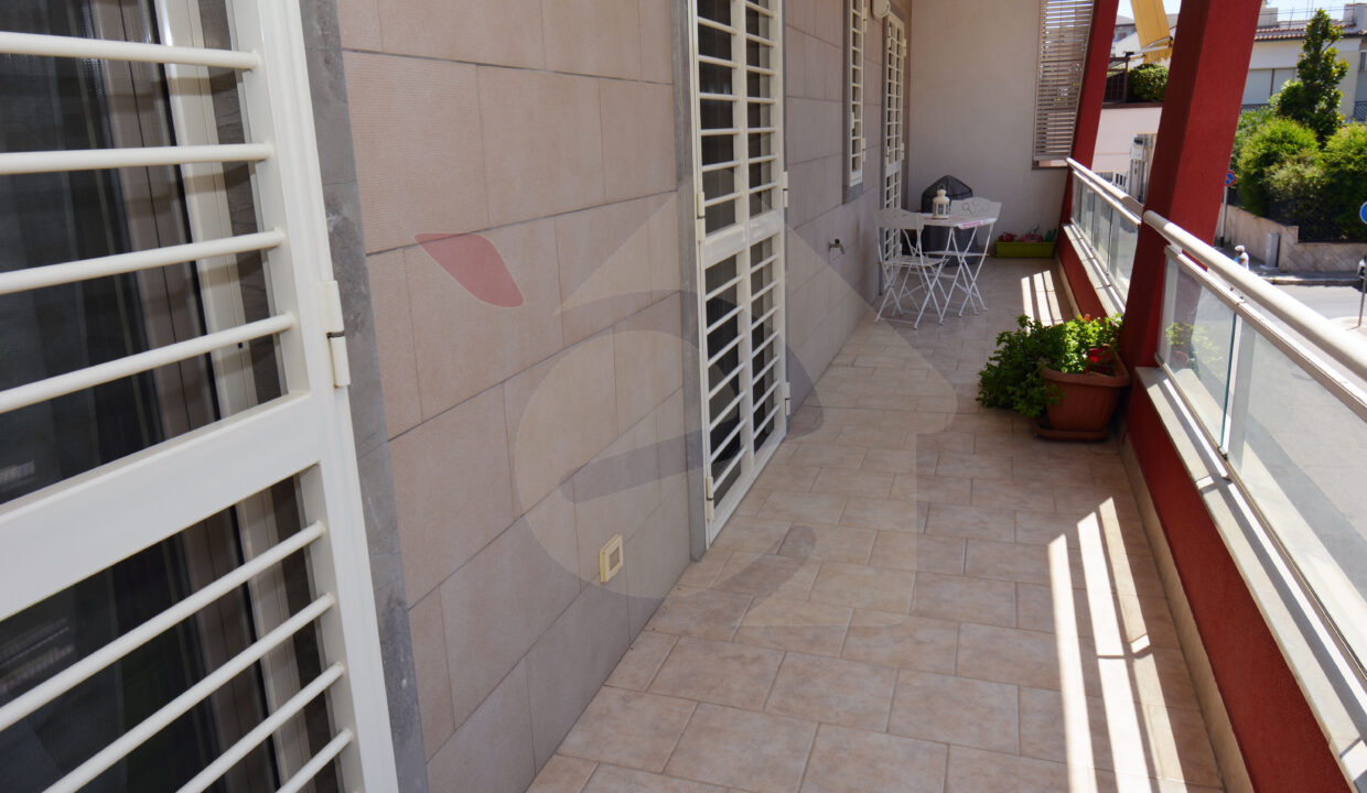 DSC_0036 copia