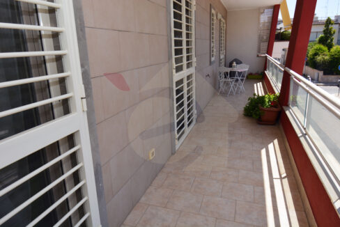 DSC_0036 copia