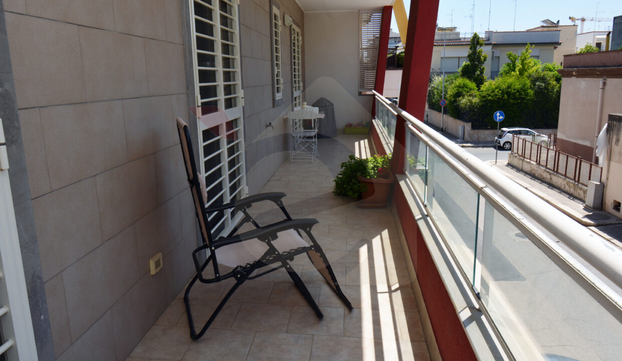 DSC_0039 copia