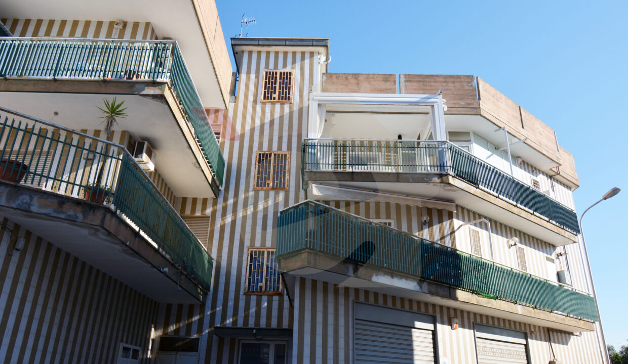 DSC_0064 copia