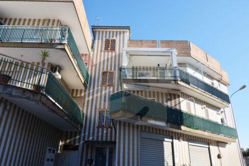 DSC_0064 copia