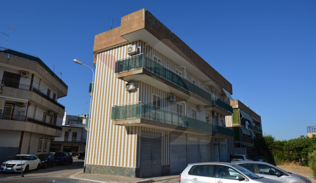 DSC_0067 copia