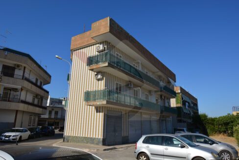 DSC_0067 copia
