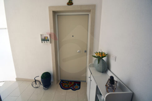 DSC_0001 copia