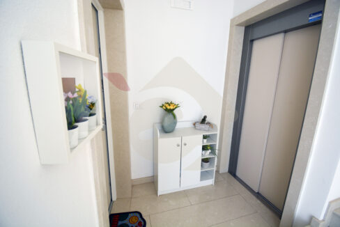 DSC_0004 copia